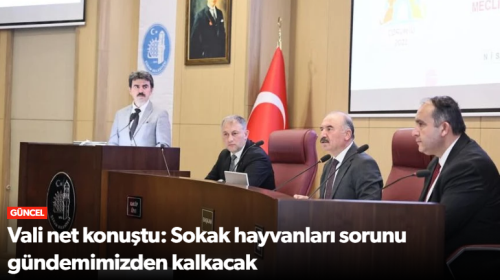 Vali Çalgan Sokak Hayvanları Gündemimizden Kalkacak!