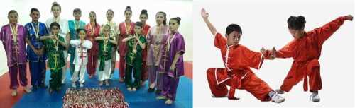 Wushu 2.Zafer Kupası şampiyonası Cumartesi günü