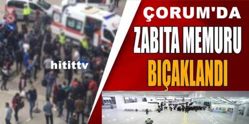 Zabıta memuru, iş yeri sahibi tarafından bıçaklandı