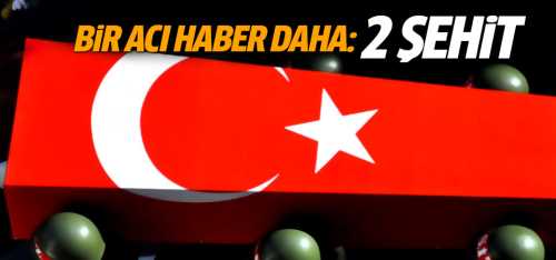 Zeytin Dalı Harekat bölgesinde 2 şehit