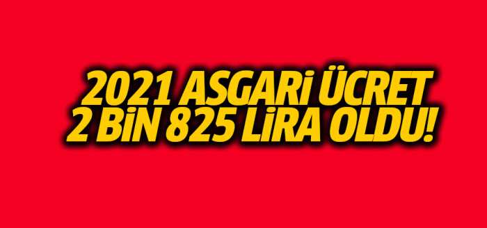 2021 Yılı Asgari Ücreti 2 bin 825 lira olarak açıklandı!