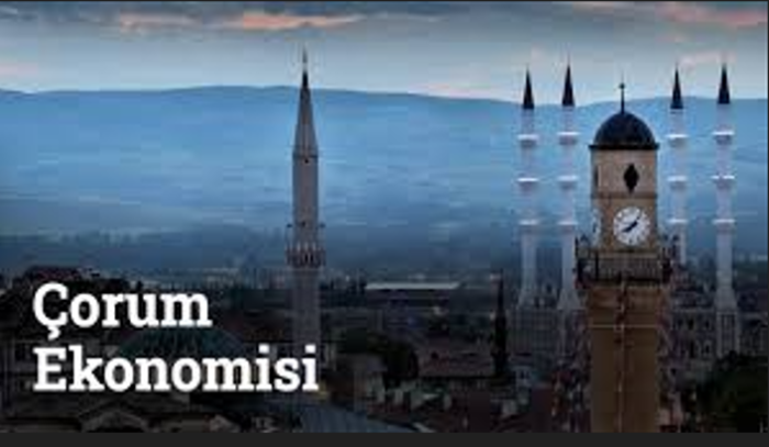  2025 Ocak ayında ihracat 315,7 milyon dolar, ithalat 218,1 milyon dolar
