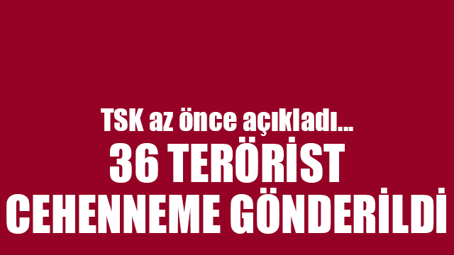 36 PKK'lı terörist etkisiz hale getirildi