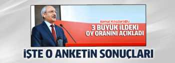 AMERİKALI ŞİRKETİN ANKET SONUÇLARI
