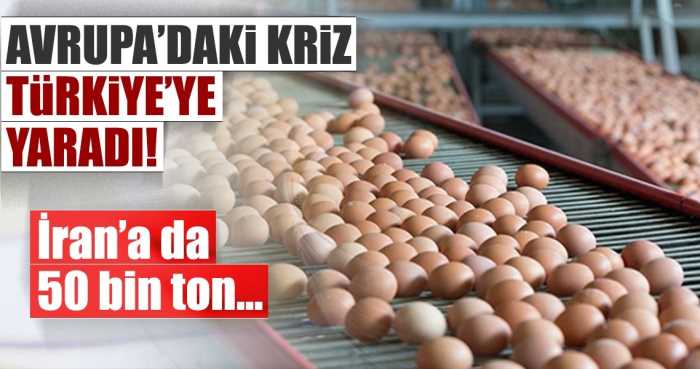 Avrupa'daki yumurta krizi Türkiye'ye  ve Çorum'a yaradı!