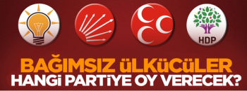 Bağımsız Ülkücüler  Platformu’ndan AK Parti’ye destek