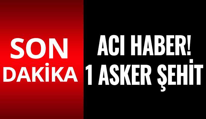 Barış Pınarı Harekatı bölgesinde 1 asker şehit oldu 
