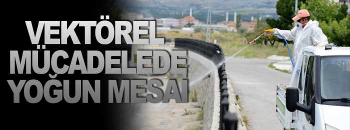 Belediye vektörel mücadeleyi sürdürüyor
