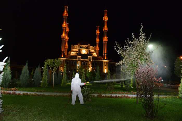 Belediye yaprak biti ile mücadeleye devam ediyor