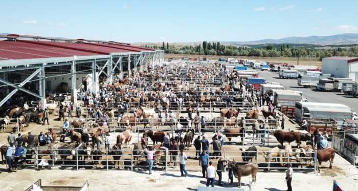 Belediyeden Kurban Bayramı tedbirleri