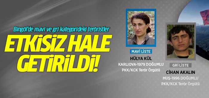 Bingöl'de PKK'lı teröristler etkisiz hale getirildi