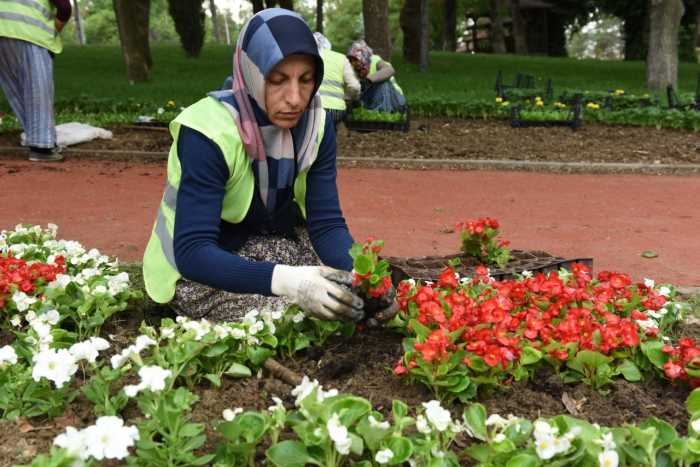 Bu Yaz 600 bin çiçek toprakla buluşacak