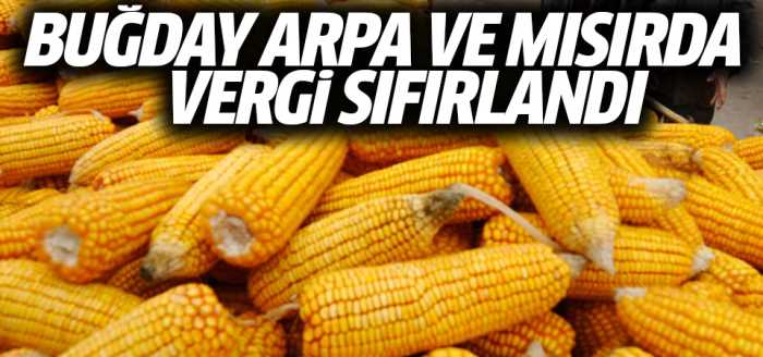 Buğday, arpa ve mısırda vergi sıfırlandı