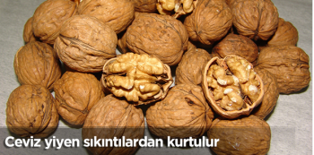 Ceviz yiyen, sıkıntılardan kurtuluyor