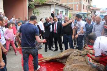 CHP AŞDAVUL'DA DEVE KURBAN ETTİ