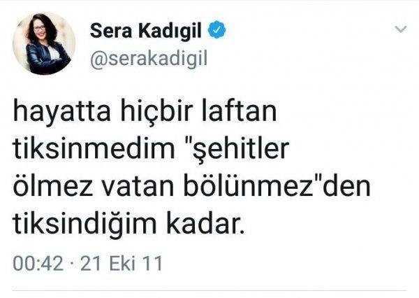 CHP PM ÜYESİ HAKARET TWEETLERİNİ TEMİZLİYOR 