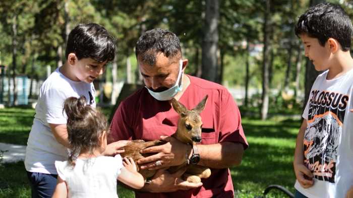 Çocuklar Yavru Karacaları çok sevdiler!