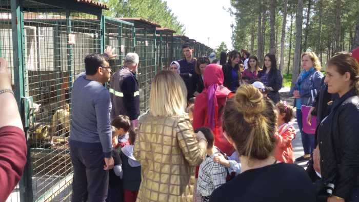 Çorum Bahçelievler Mesleki ve Teknik Anadolu Lisesi Uygulama Anaokulu Öğrencileri “Sadece Sevmek Yetmez” projesi 