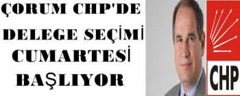 ÇORUM CHP'DE DELEGE SEÇİMİ VAR