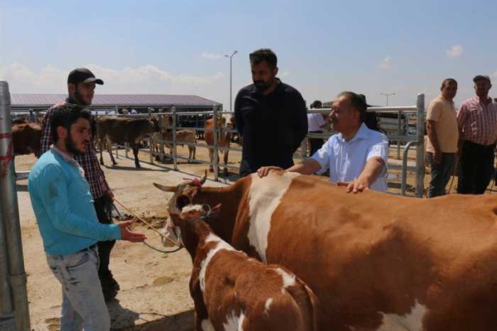 Çorum'da hayvan pazarları kapatıldı