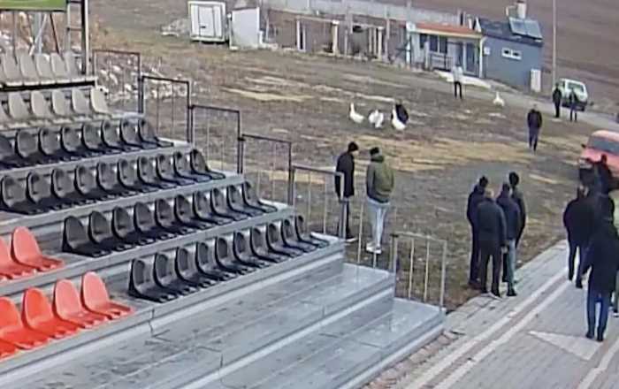 Çorum'da Kaz Dövüşüne Polis Baskını