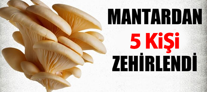 Çorum'da Mantardan 5 Kişi zehirlendi!