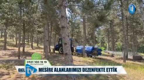 Çorum'da Mesire alanlarında İlaçlama yapıldı