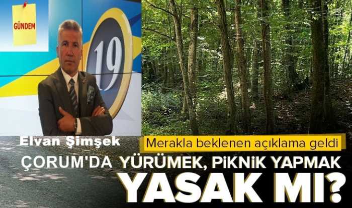 Çorum'da ormanlarda yürümek-piknik yapmak yasak mı? 