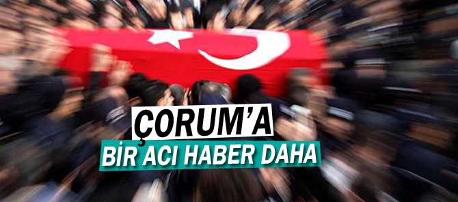 ÇORUM-DODURGA'YA ŞEHİT ATEŞİ DÜŞTÜ