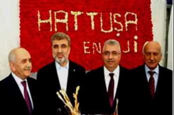 ÇORUM HATTUŞA ENERJİ (Türkiye'nin ilk 500'ünde)