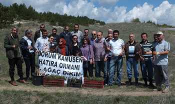Çorum Kamu-sen 250 fidanı toprakla buluşturdu