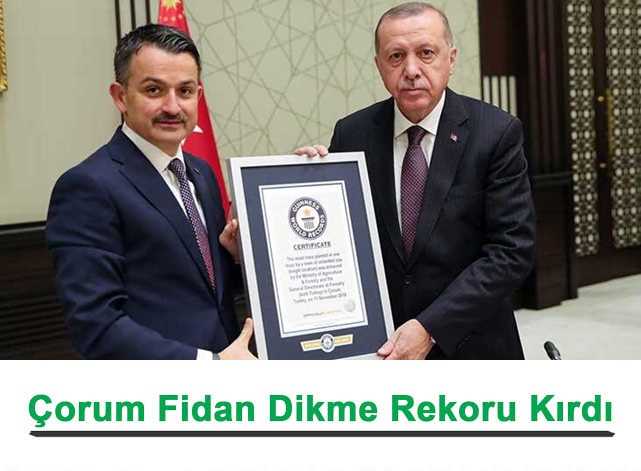 Çorum'un Dünya rekoru belgesi  Erdoğan'a verildi