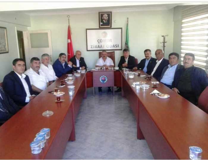 Çorum Ziraat Odaları İl Koordinasyon Kurulu Toplantısı
