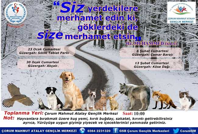 ÇORUMLU GENÇLERDEN HAYVANLARA YARDIM ELİ
