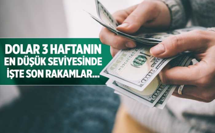 Dolar/TL 3 haftanın en düşük seviyesinde