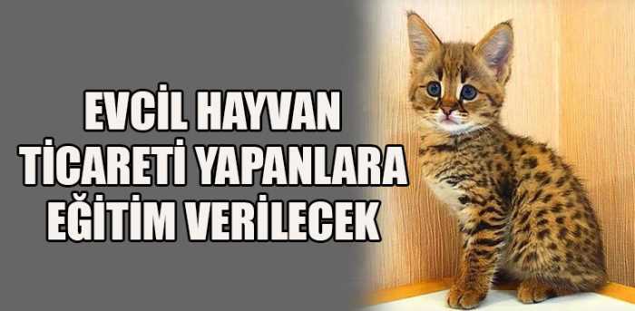 Ev ve Süs Hayvanı Satışı yapanlara Eğitim