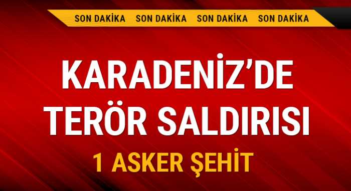 Gümüşhane'de terör saldırısı: 1 şehit