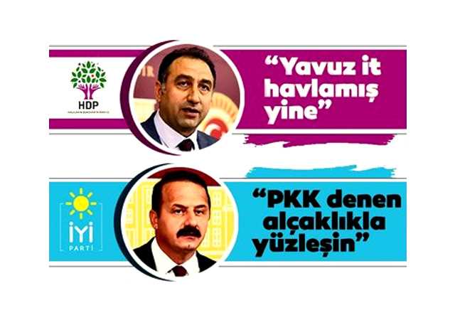 HDP'li vekil İYİ Parti'li vekile 'it' dedi