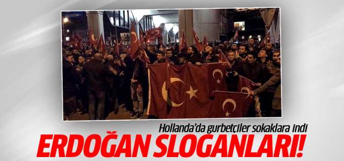 Hollanda'da gurbetçiler sokaklara indi