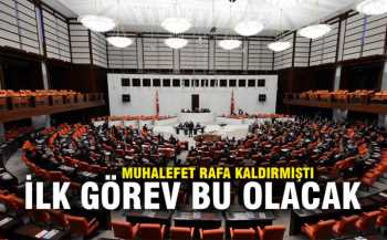 HÜKÜMETİN İLK İŞİ ANAYASA