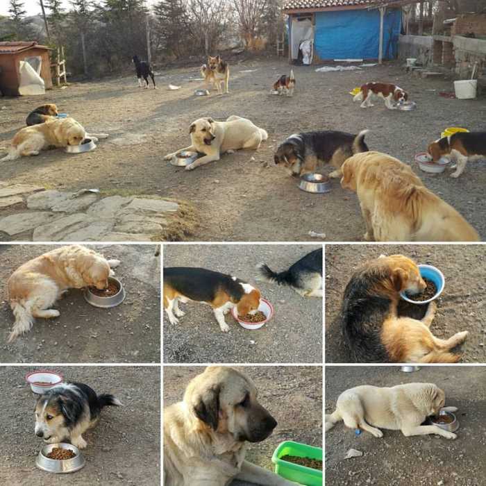 İnsanların Ders Çıkarması Gereken Hareketler