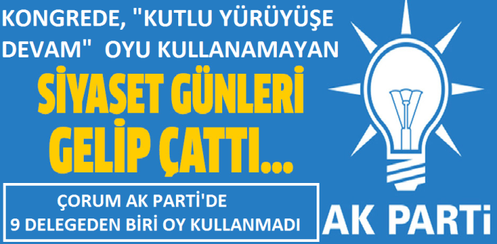 KONGREDE, "KUTLU YÜRÜYÜŞE DEVAM"  OYU KULLANMAYAN AK PARTİLİ DELEGE 