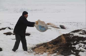 KUŞLAR İÇİN ÇEVREYE 5 TON YEMEK BIRAKILDI