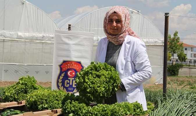 Mahkumlar sera ve bahçede organik sebze yetiştiriyor
