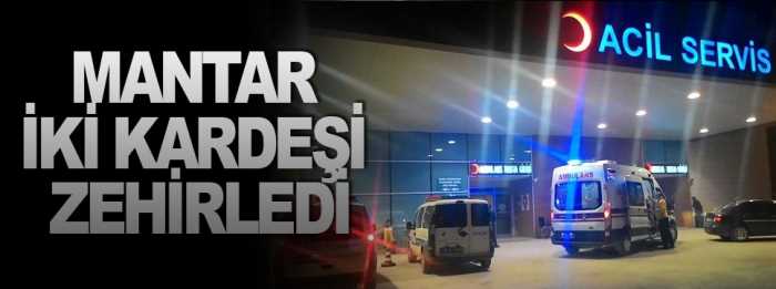 Mantardan 2 kardeş zehirlendi