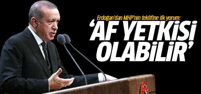 MHP'nin teklifine ilk yorum: Af yetkisi olabilir