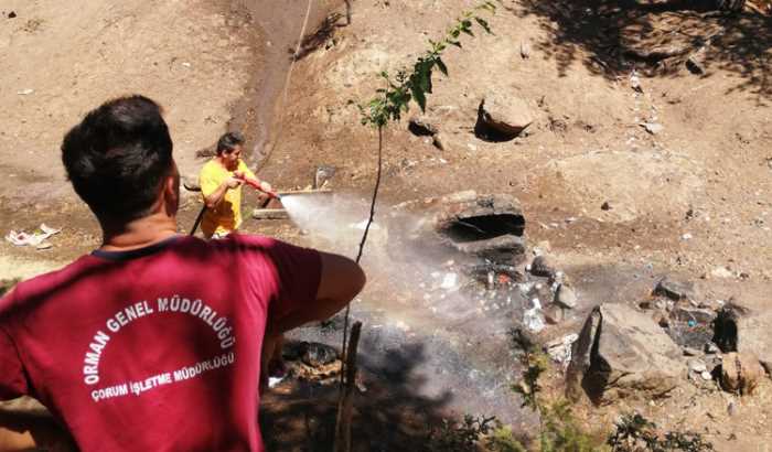 Osmancık ilçesinde iki gün arayla aynı yerde ikinci kez orman yangını 