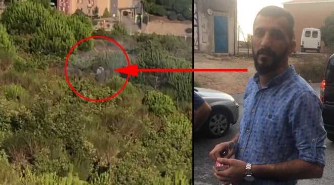 Pendik'te ormanı yakanan kundakçı gözaltına alındı