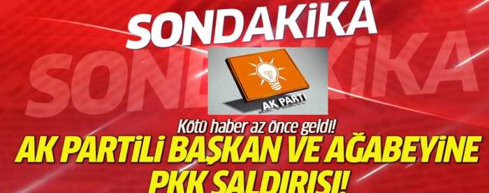 PKK'lılar AK Partili başkanı ve kardeşini vurdu! 