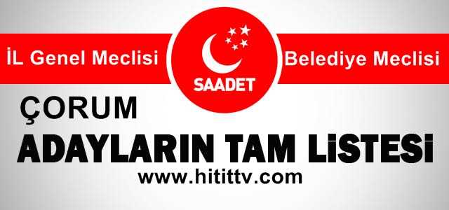 Saadet Partisi Belediye ve İL genel meclis listesi